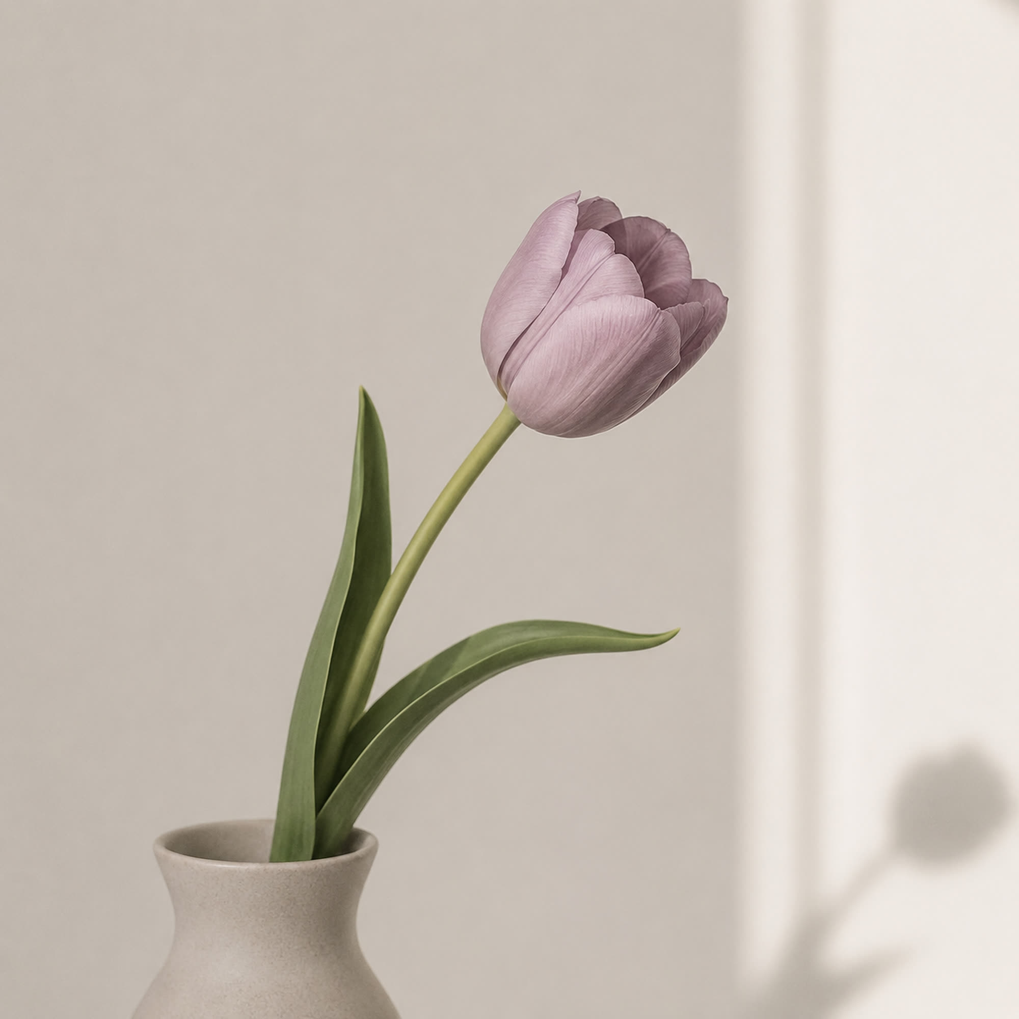 A single-stem decor detail